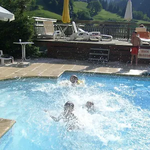 Hotel Chalet-hotel Du Borderan